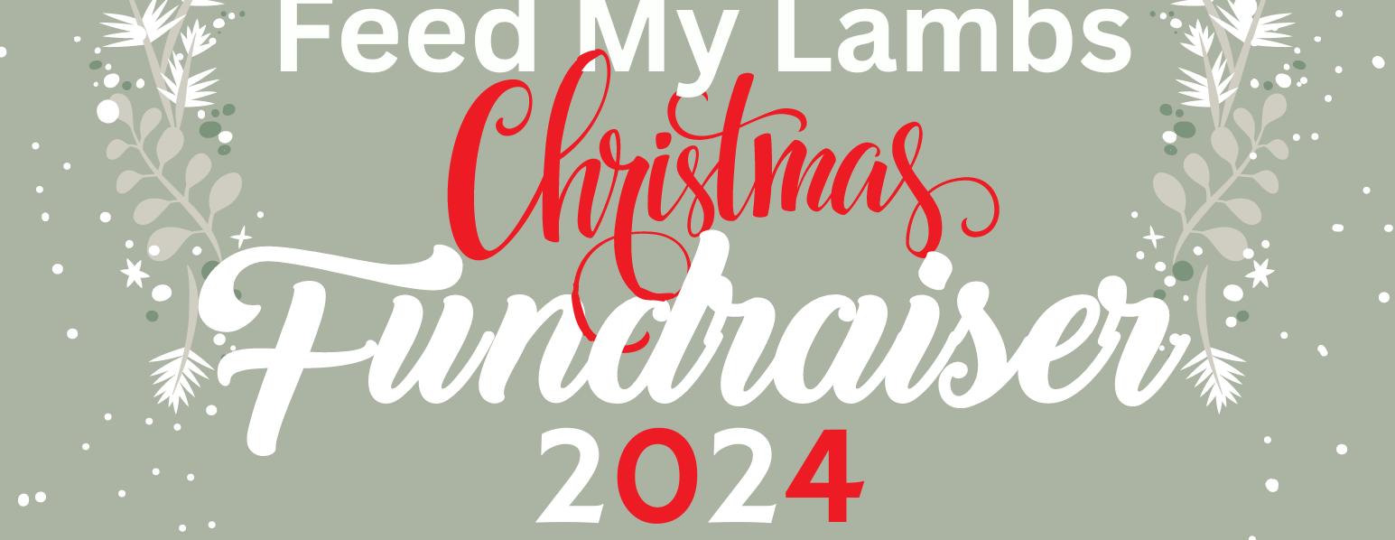 Feed My Lambs Fundraiser: Christmas Stories